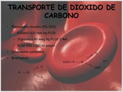 Transporte De Oxigeno Y Dioxido De Carbono En