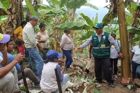 Agricultores De La Selva Central Se Capacitan En Control De Plagas