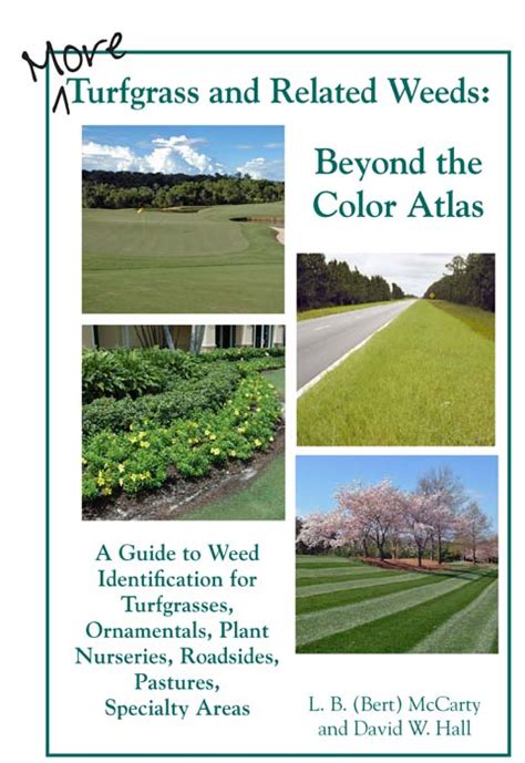 More Turfgrass And Related Weeds Beyond The Color Atlas