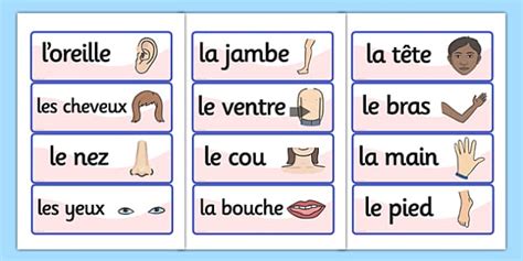 French Body Parts Vocabulary Cards French Language