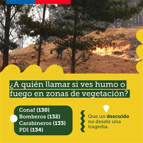 Ministerio De Las Culturas On Twitter El 99 De Los Incendios