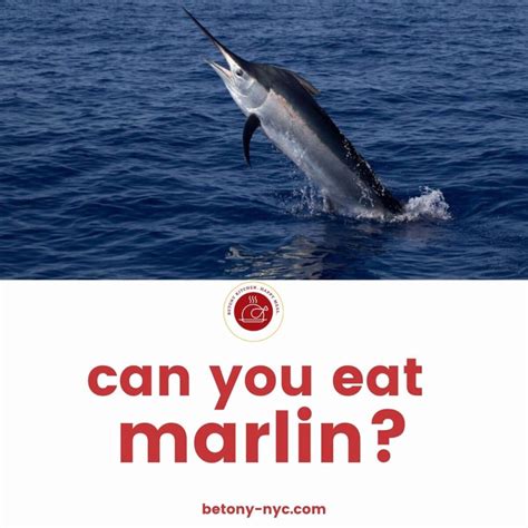 Can You Eat Marlin? The Surprising Truth About This Delicious Fish