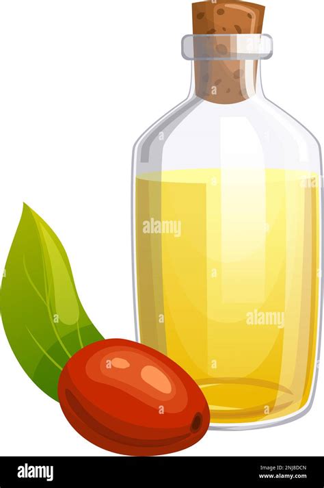 Jojoba Natural Oil Cartoon Vector Illustration Color Sign Stock Vector