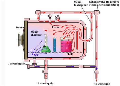 Moist Heat Sterilization.