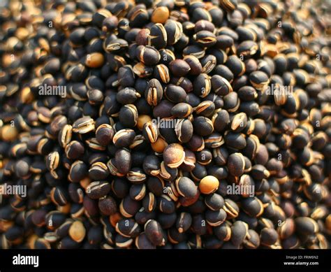 Dried beans close-up for background and texture Stock Photo - Alamy