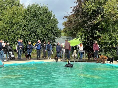 Auflage Des Hundeschwimmens Im Freizeitbad War Bestens Besucht Und