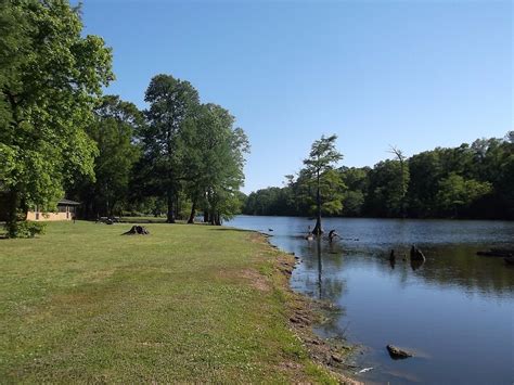 8 Mississippi State Parks with Cabins that are Perfect for Families - The Family Vacation Guide