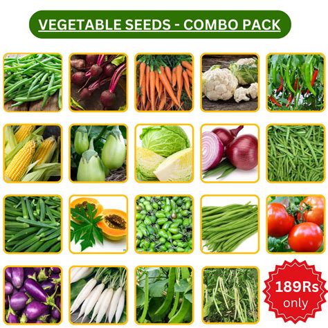 Leafy Vegetables Seeds Combo – VGR Gardens