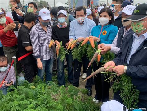 國際台灣胡蘿蔔日 上千人齊拔彩色蘿蔔！創金氏世界紀錄 Ettoday地方新聞 Ettoday新聞雲