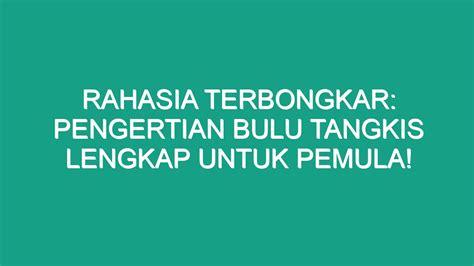 Rahasia Terbongkar Pengertian Bulu Tangkis Lengkap Untuk Pemula Geograf