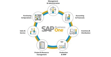 Sap Business One Module Zingleqwer