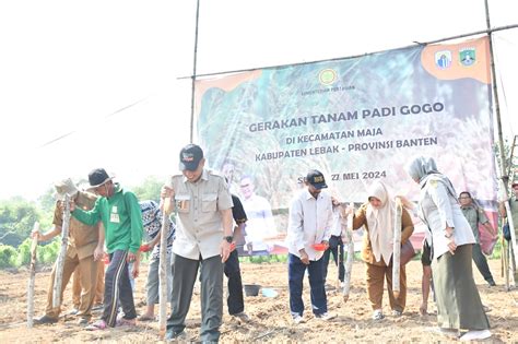 Kementerian Pertanian Direktorat Jenderal Perkebunan Kementan Lakukan