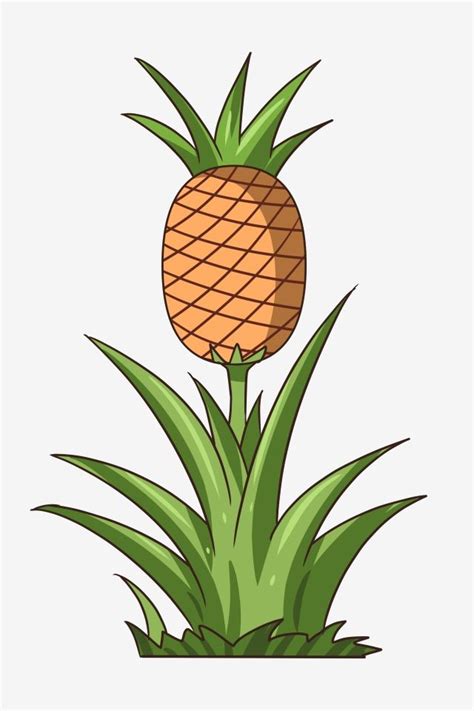 Pineapple Tree PNG Picture, Pineapple Tree Cartoon Plant, Glass Tree ...