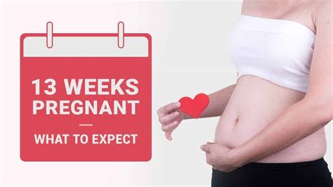 13 Weeks Pregnant - Symptoms, Baby Development, and Tips!