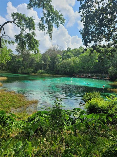 Rainbow Springs State Park - STATE PARKS USA