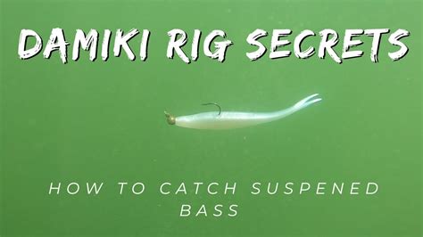 Damiki Rig Bass Fishing How To Catch Suspended Bass Insane