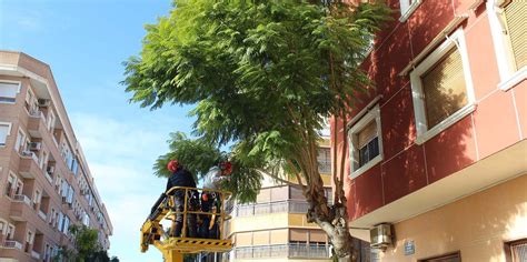 Se Inicia La Campa A Anual De Poda Del Arbolado Municipal