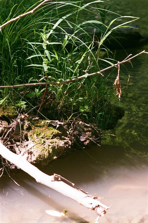 Creekside Nikkormat FTN Nippon Kogaku Nikkor P F2 5 105mm Flickr