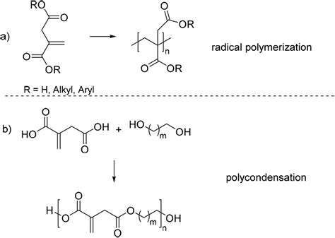 Itaconic Acid A Versatile Building Block For Renewable Polyesters