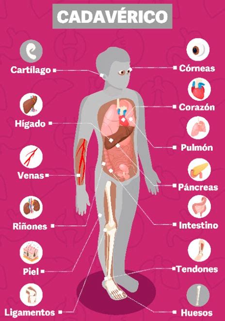 TIPOS DE DONANTES INAT PARAGUAY SITIO WEB OFICIAL