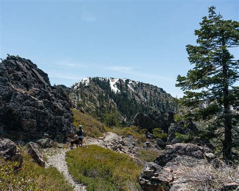 The Best Mt Shasta Hiking Guide » The Modern Female Hiker