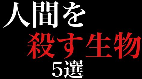 [雑学]人間を殺す生物5選を詳しく解説 Youtube