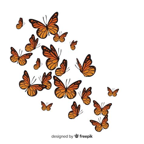 Mariposa Monarca SVG Paquete De Mariposas Archivos De 55 OFF