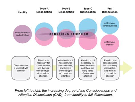 Consciousness, Attention, and Conscious Attention | Psychology Today