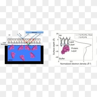 Schematic Of X Ray Reflectivity Experiments Graphic Design HD Png