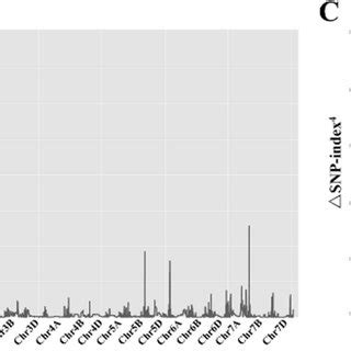 Bsr Seq Analysis A The Number Of Snps Identified In The Bulk Low And