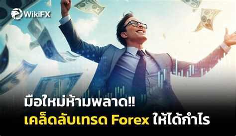 [wikifx Th] มือใหม่ห้ามพลาด เคล็ดลับเทรด Forex ให้ได้กำไร Th