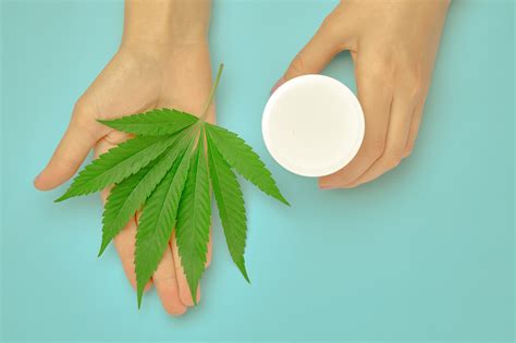 A Beginner’s Guide To Topical Cannabinoids And Cbd Cream Releaf Uk