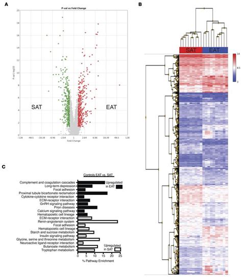 Jci Insight Coronary Disease Is Not Associated With Robust