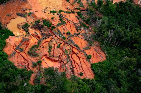 Desmatamento em terras indígenas provocou emissão de CO2 na Amazônia