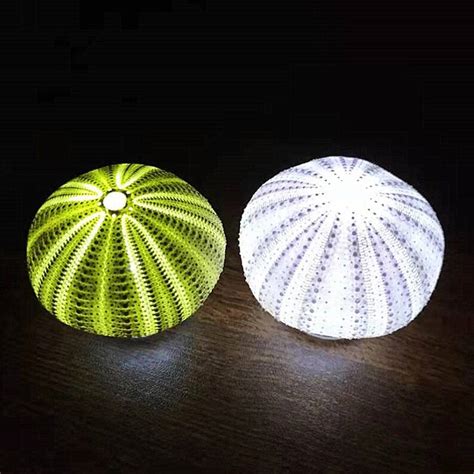 2 Pcs Colorful Natural Sea Urchin Night Light Mini Shell Etsy