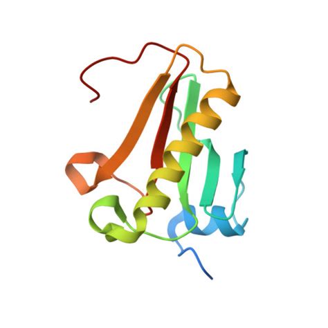 Rcsb Pdb Paf Crystal Structure Of Human Histidine Triad Nucleotide