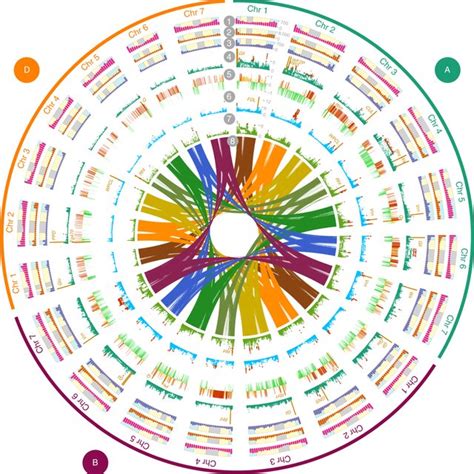 Tracing The Ancestry Of Modern Bread Wheats Request Pdf