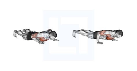 Scapula Push Up Guide Benefits And Form