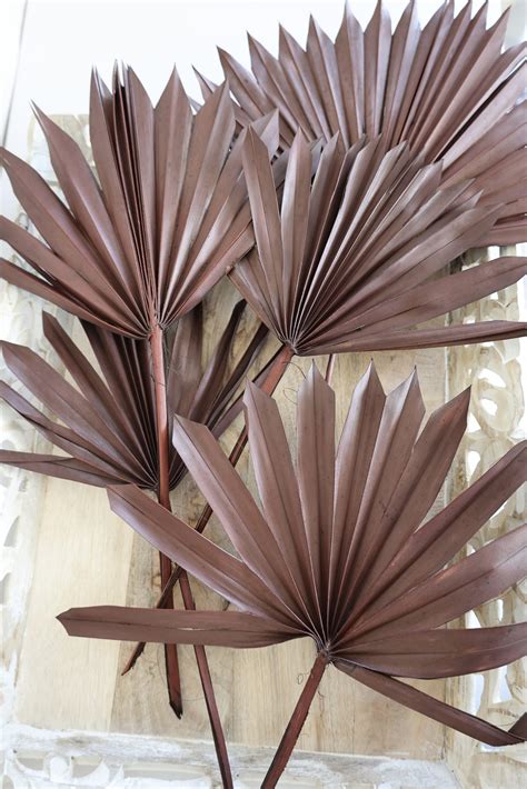 Dried Sun Palm Leaf Fans Flowerfantasee