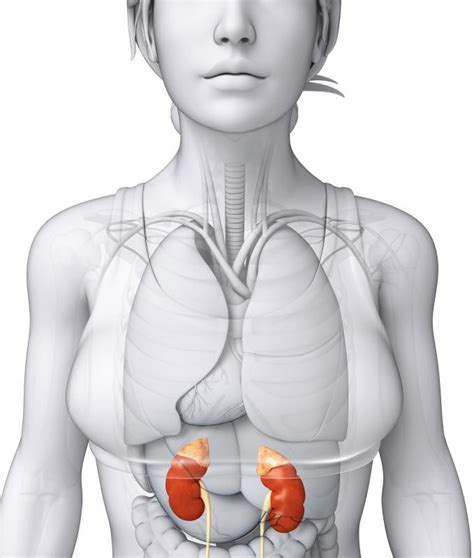 What Are the Most Common Methocarbamol Side Effects?