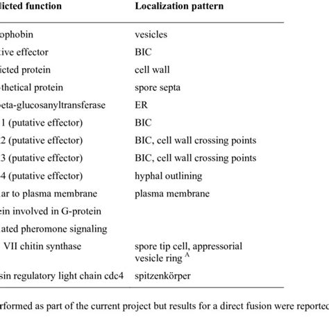 Localization Patterns For Fusion Proteins Used In Comparisons Of