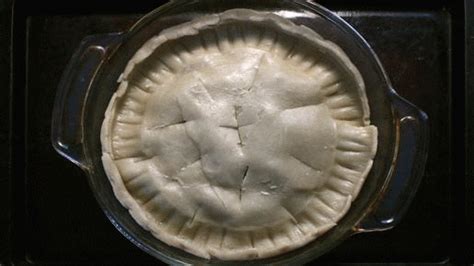 Pie GIF - Find & Share on GIPHY