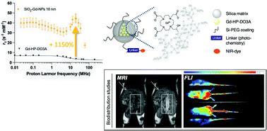 Functionalized Silica Nanoplatform As A Bimodal Contrast Agent For Mri