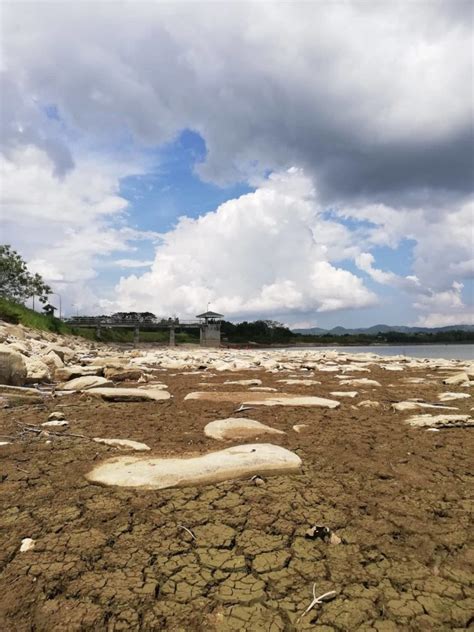 Dry Spell Facing 6 000 Hectares Of Farmlands In Bohol Inquirer News