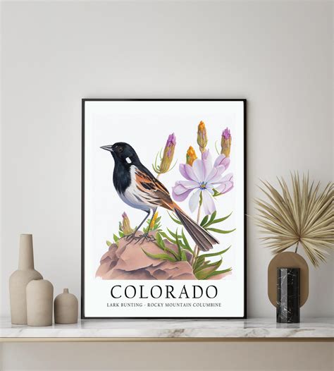 Colorado State Bird Art Print Colorado State Flower Colorado Wall Art