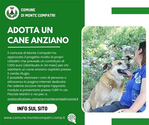 Dal Comune Di Monte Compatri Un Bonus Per Chi Adotta Un Cane Anziano