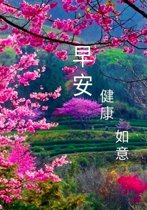 早安 健康 如意 Good Morning Images Flowers Good Morning Cards Morning Greeting