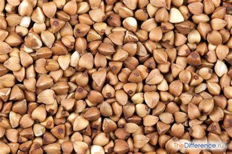 Чем отличается ядрица от продела