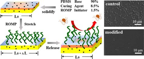 Grafting Robust Thick Zwitterionic Polymer Brushes Via Subsurface