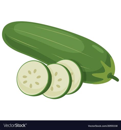 Cucumber Royalty Free Vector Image Vectorstock